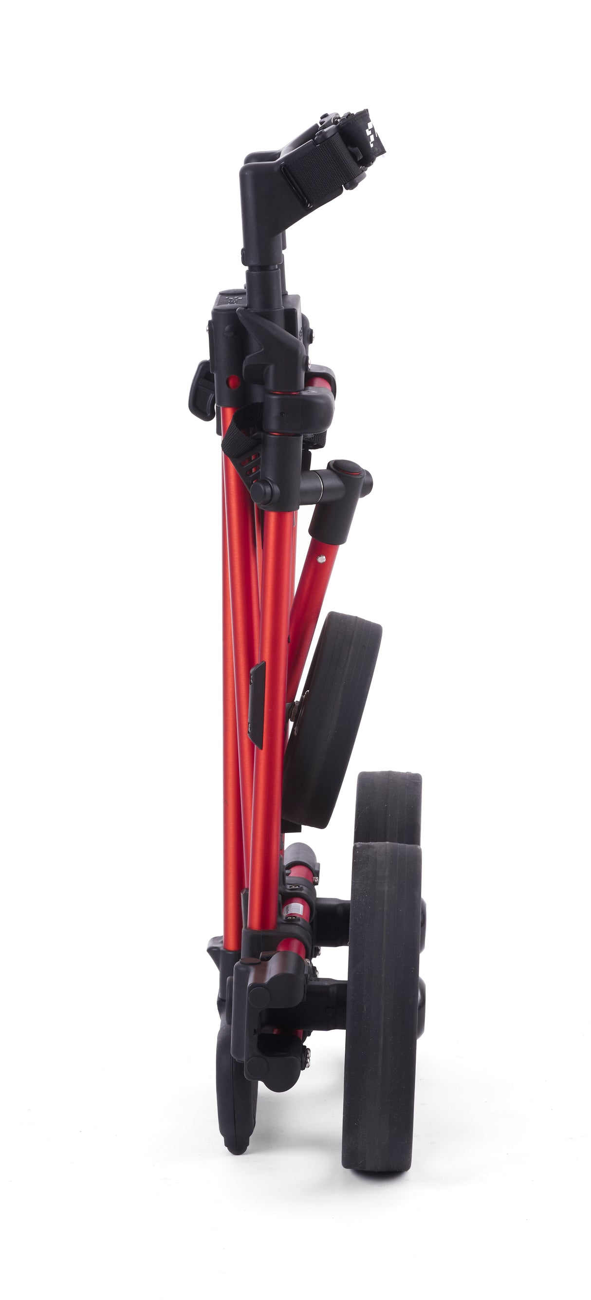 Flat Cat Ahead E-Trolley 2026