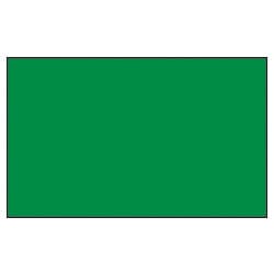 Einfarbige grüne Nylonfahne ohne Aufdruck, rechteckig, glatt und robust.