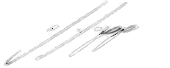 Unterschrift Bild